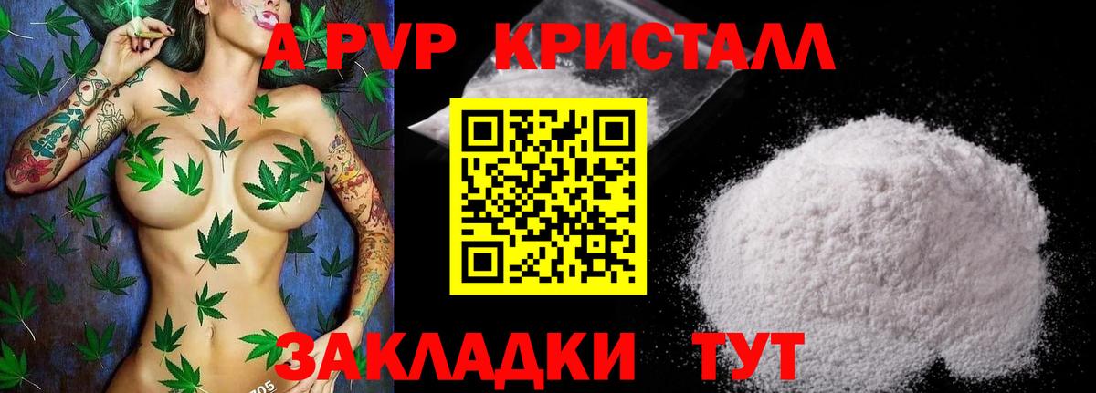 Альфа ПВП СК Благодарный