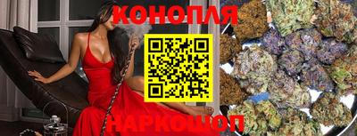 прущие грибы Шахты